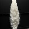 Mounted white peacock Mounted white peacock