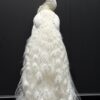Mounted white peacock