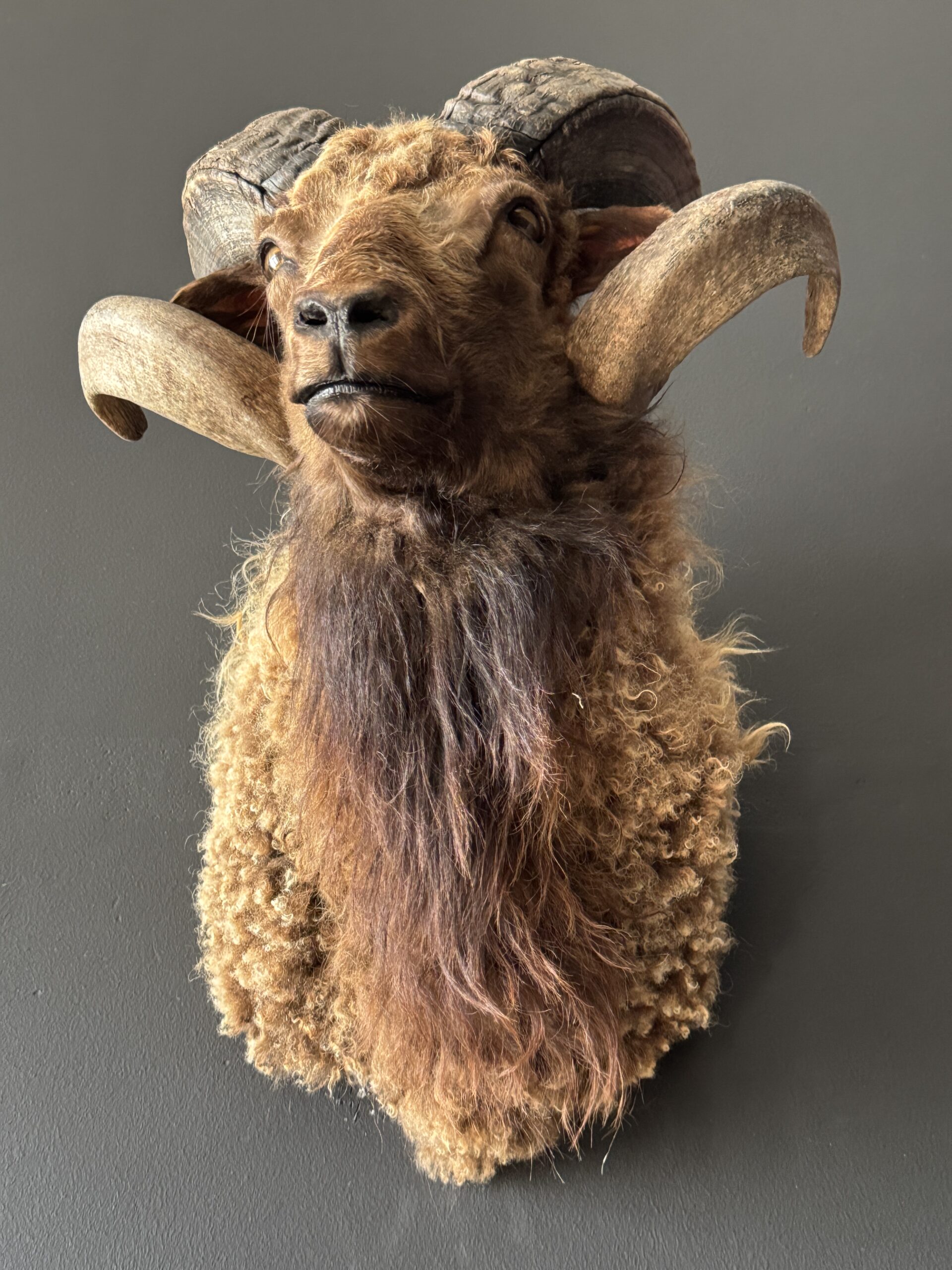 Opgezette ram