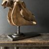 Horse skull Medical artefact Horse skull Medical artefact