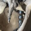 Horse skull Medical artefact Horse skull Medical artefact