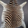 Zebravel