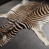 Zebravel Zebravel