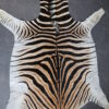 Zebravel Zebravel
