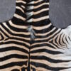 Zebravel Zebravel