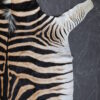 Zebravel Zebravel