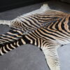 Zebravel Zebravel