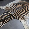 Zebravel Zebravel