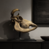 Cow skull Medical artefact