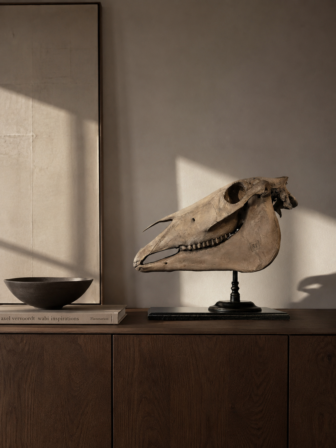 Paardenschedel Medisch Artefact
