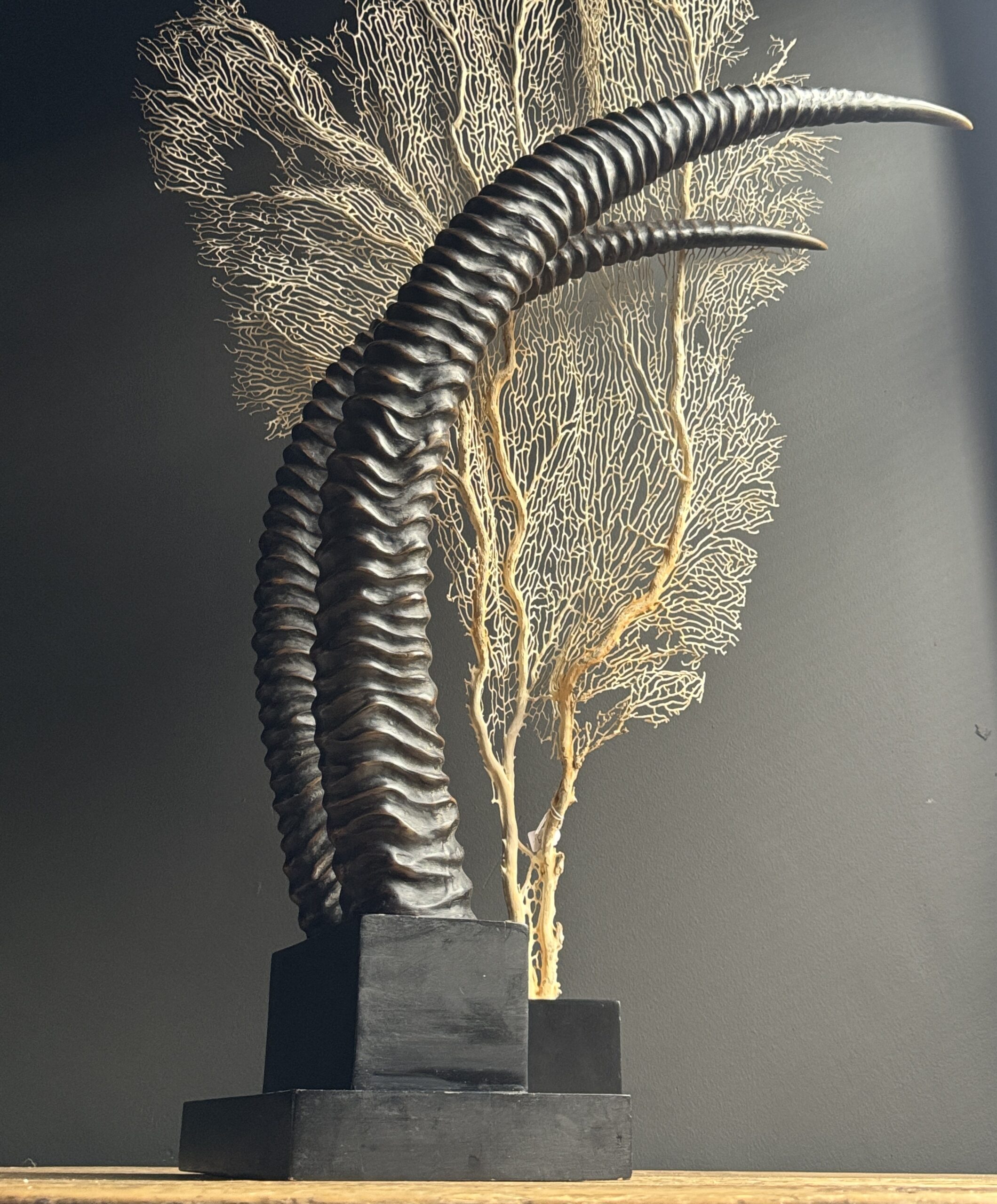 Hoorns Sabelantilope