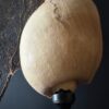 Grote schelp op sokkel XXL