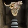 Beeldje Kaapse buffel Beeldje Kaapse buffel