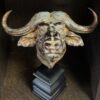 Beeldje Kaapse buffel Beeldje Kaapse buffel