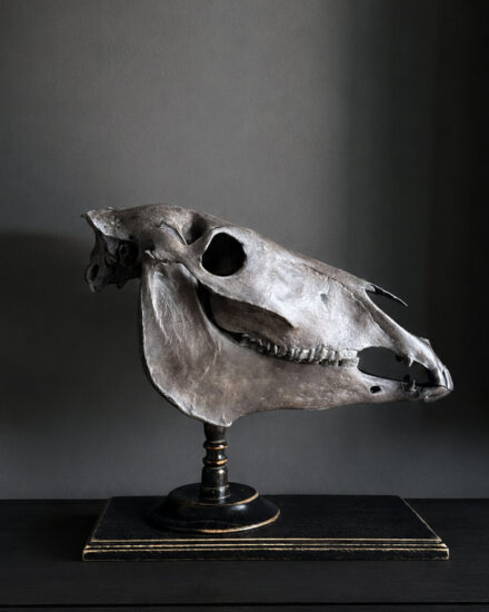 paard2.2-001