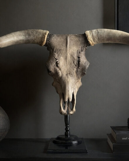stier1-001