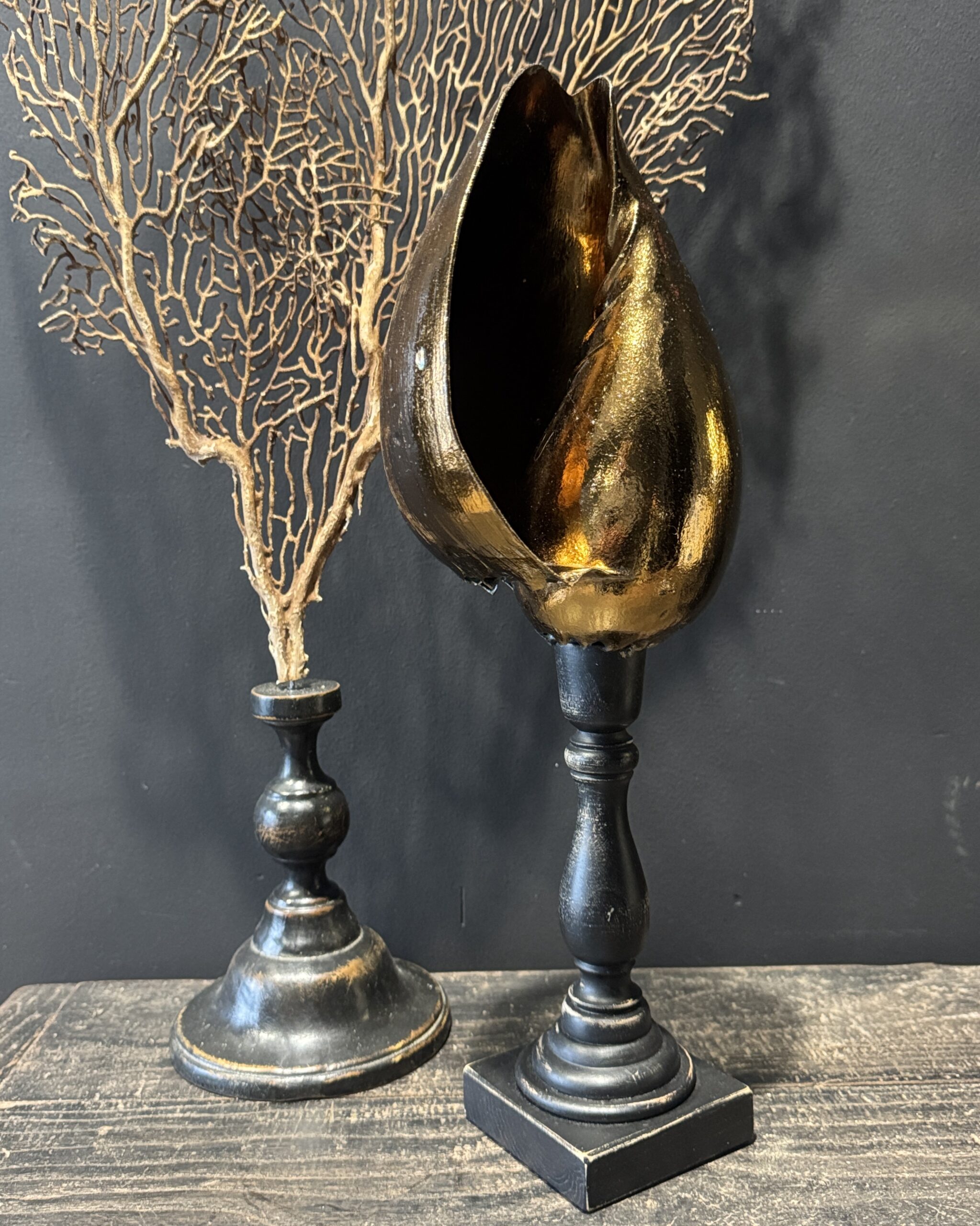 Schelp op sokkel Schelp op sokkel