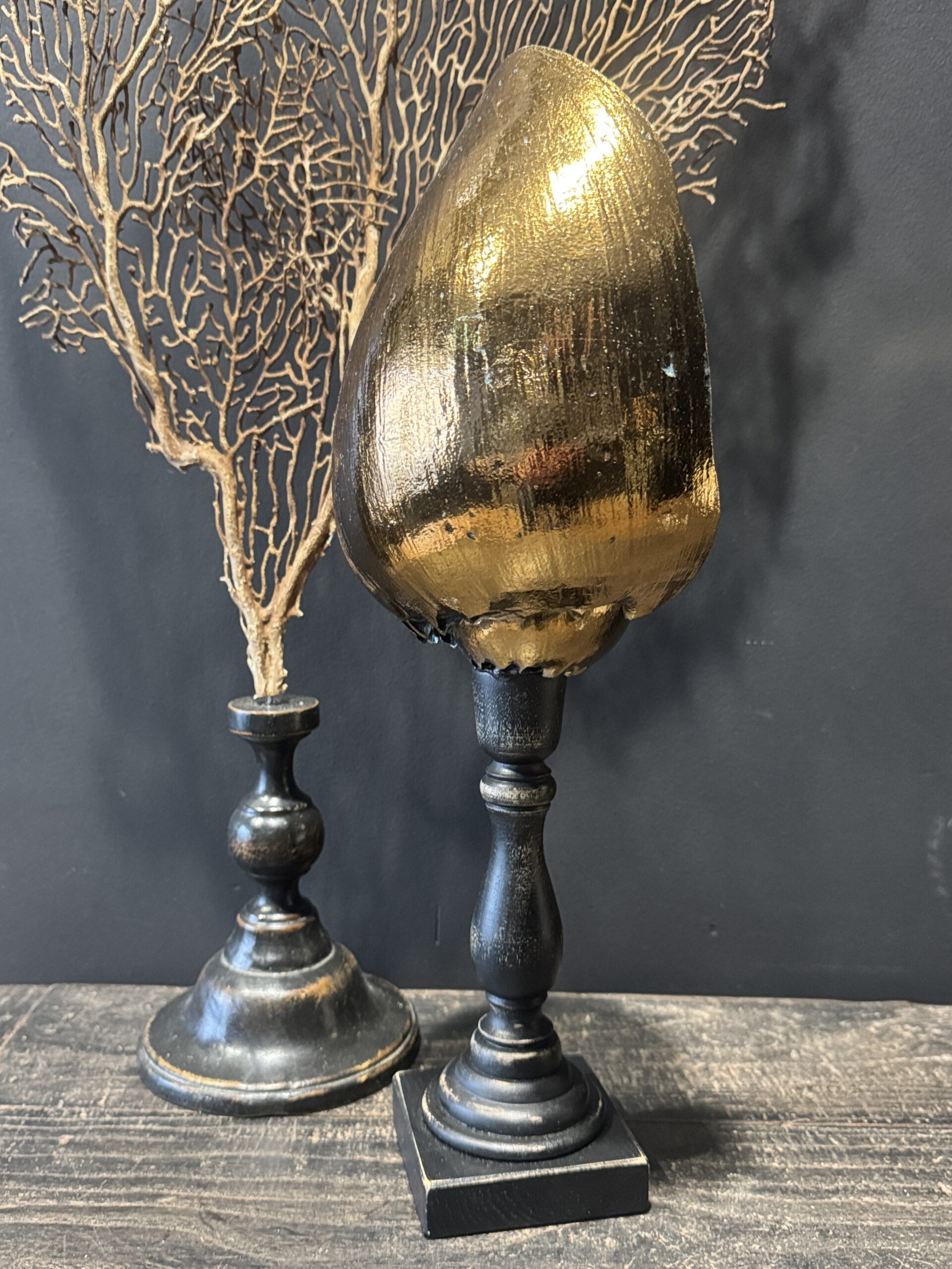 Schelp op sokkel Schelp op sokkel