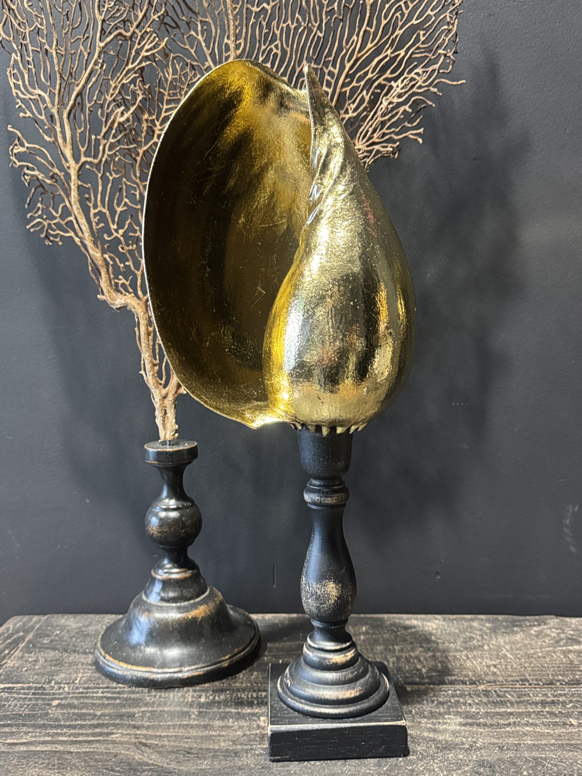 Schelp op sokkel Schelp op sokkel