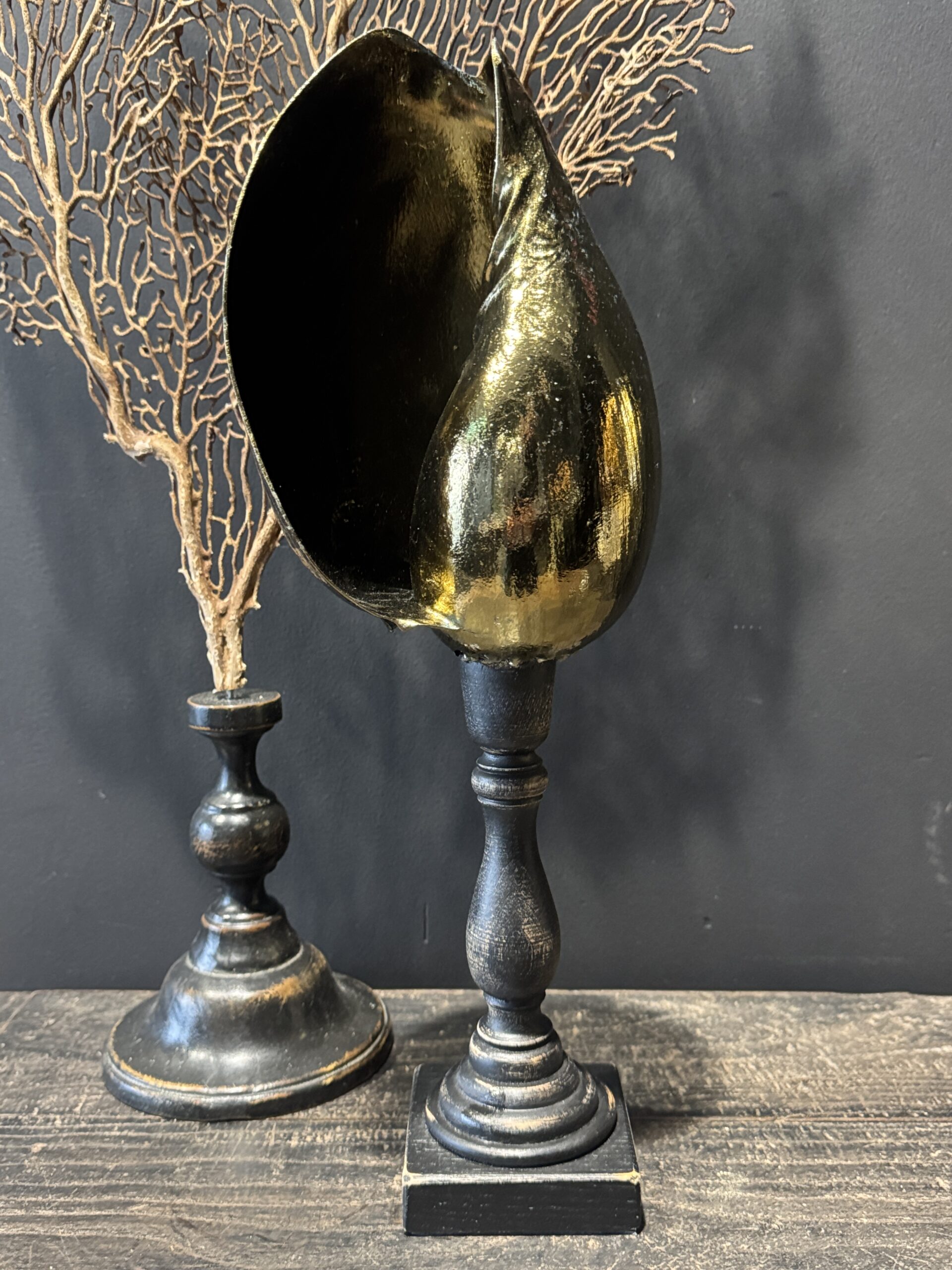 Schelp op sokkel Schelp op sokkel