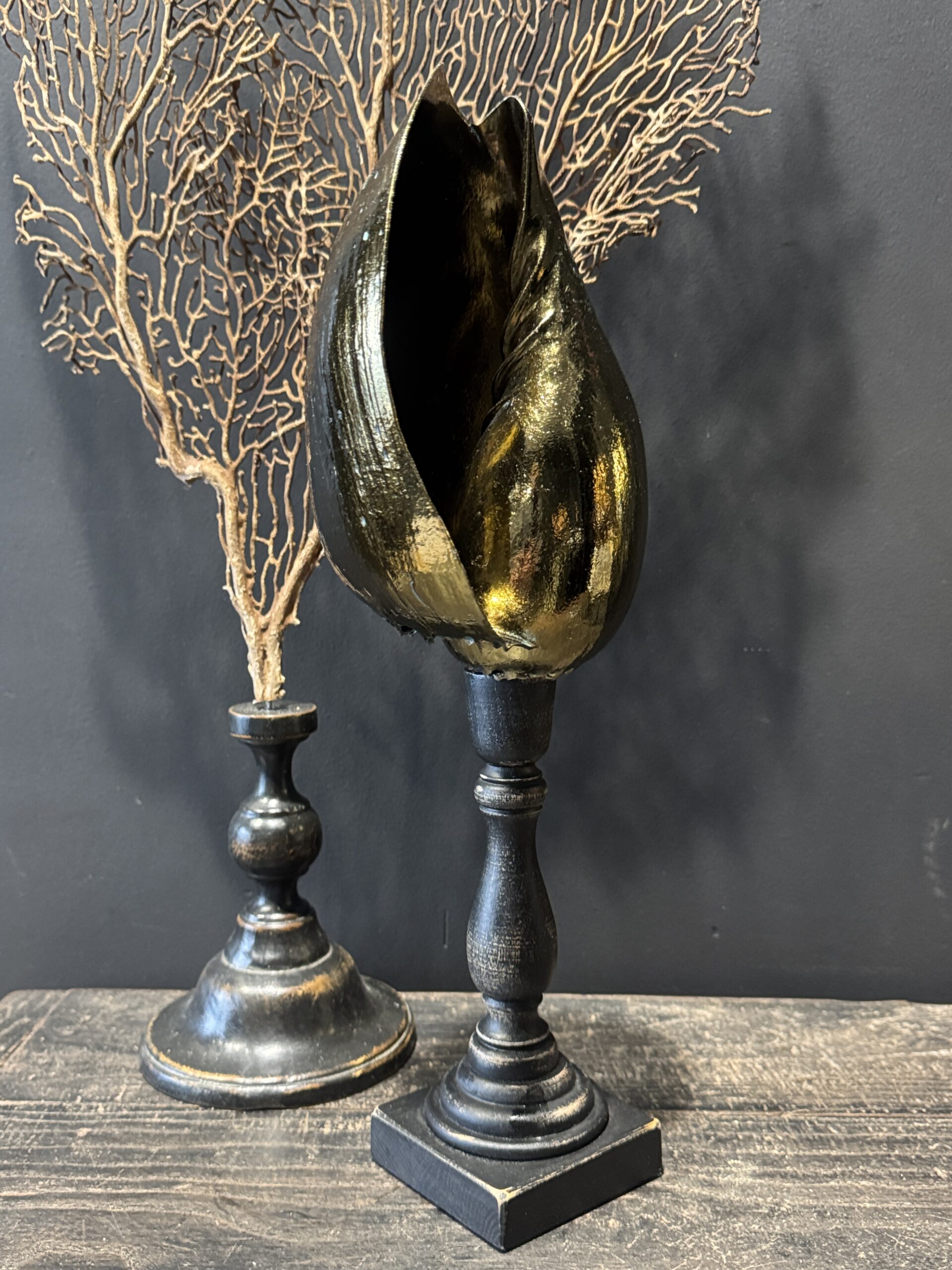 Schelp op sokkel Schelp op sokkel