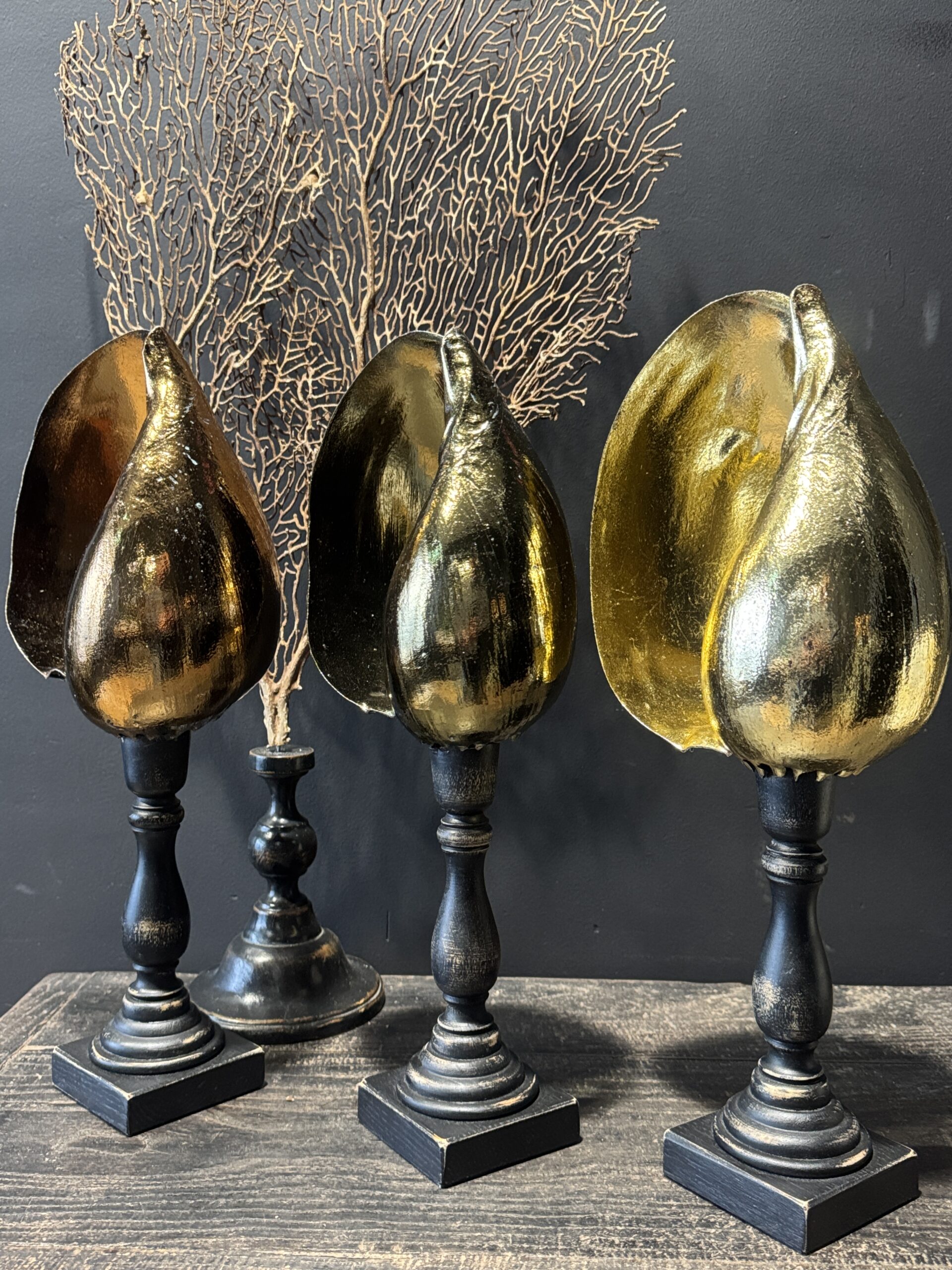 Schelp op sokkel Schelp op sokkel