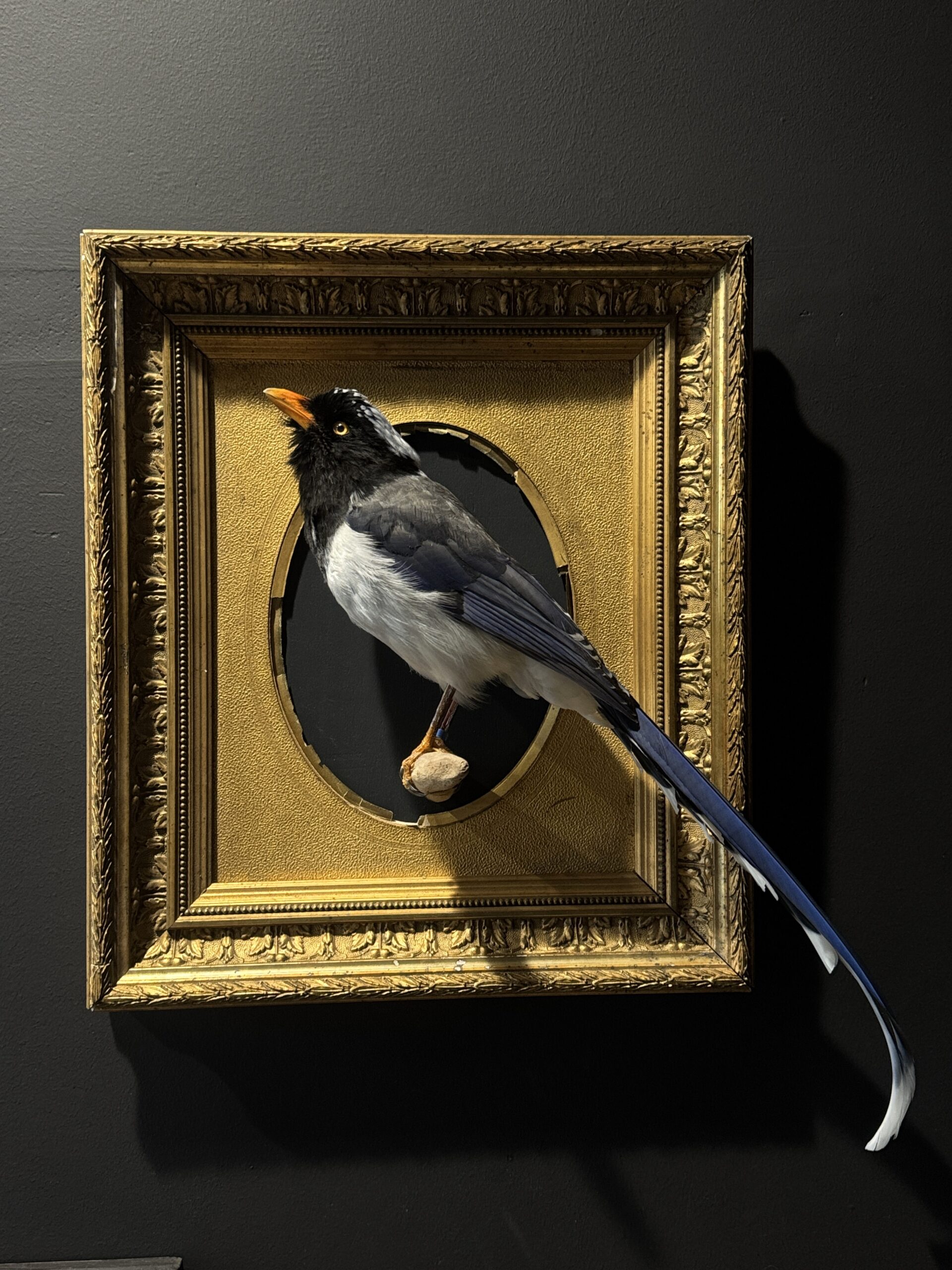 Kunstwerk "Roodsnavel Kitta".