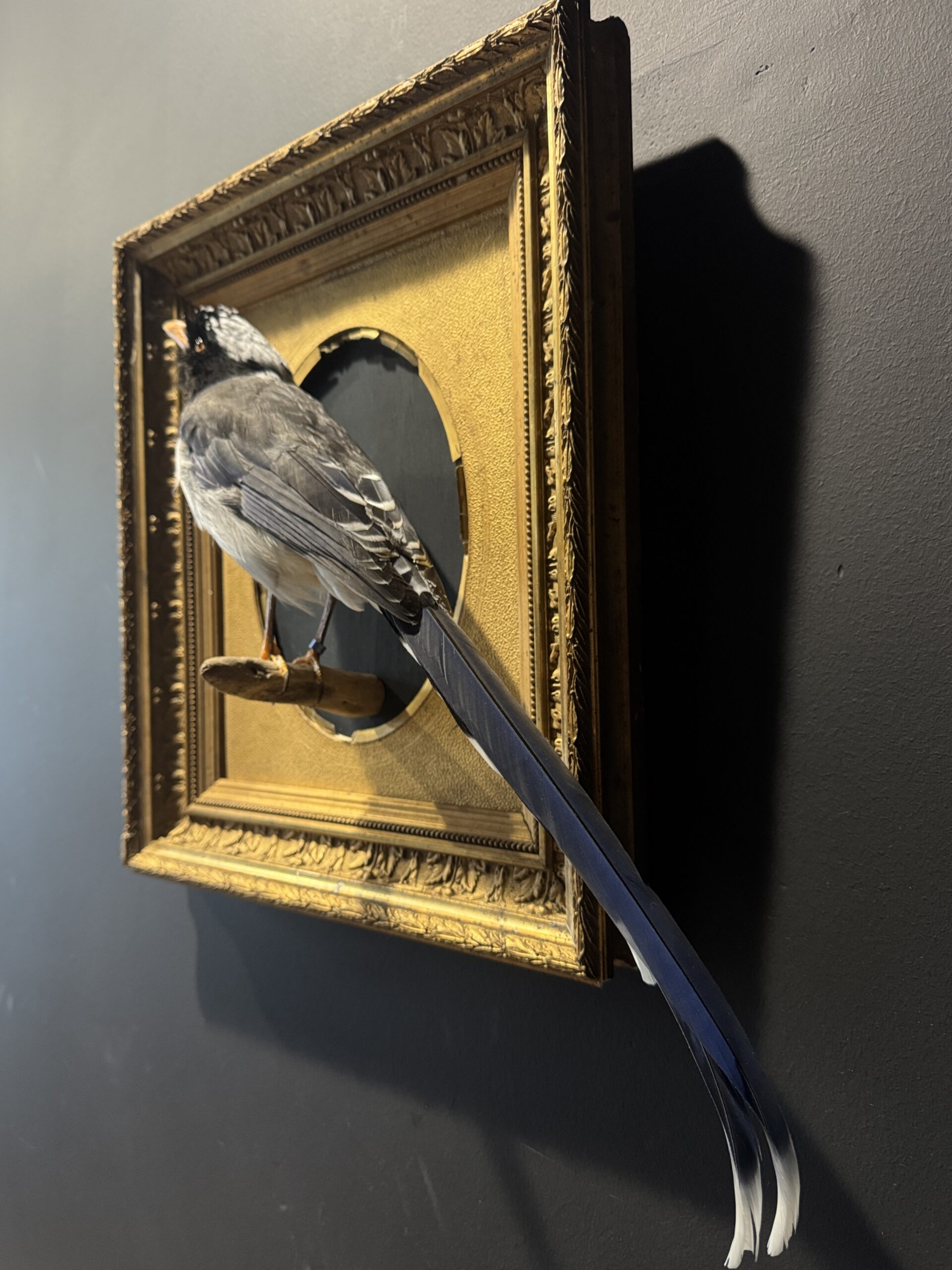 Kunstwerk "Roodsnavel Kitta". Kunstwerk "Roodsnavel Kitta".