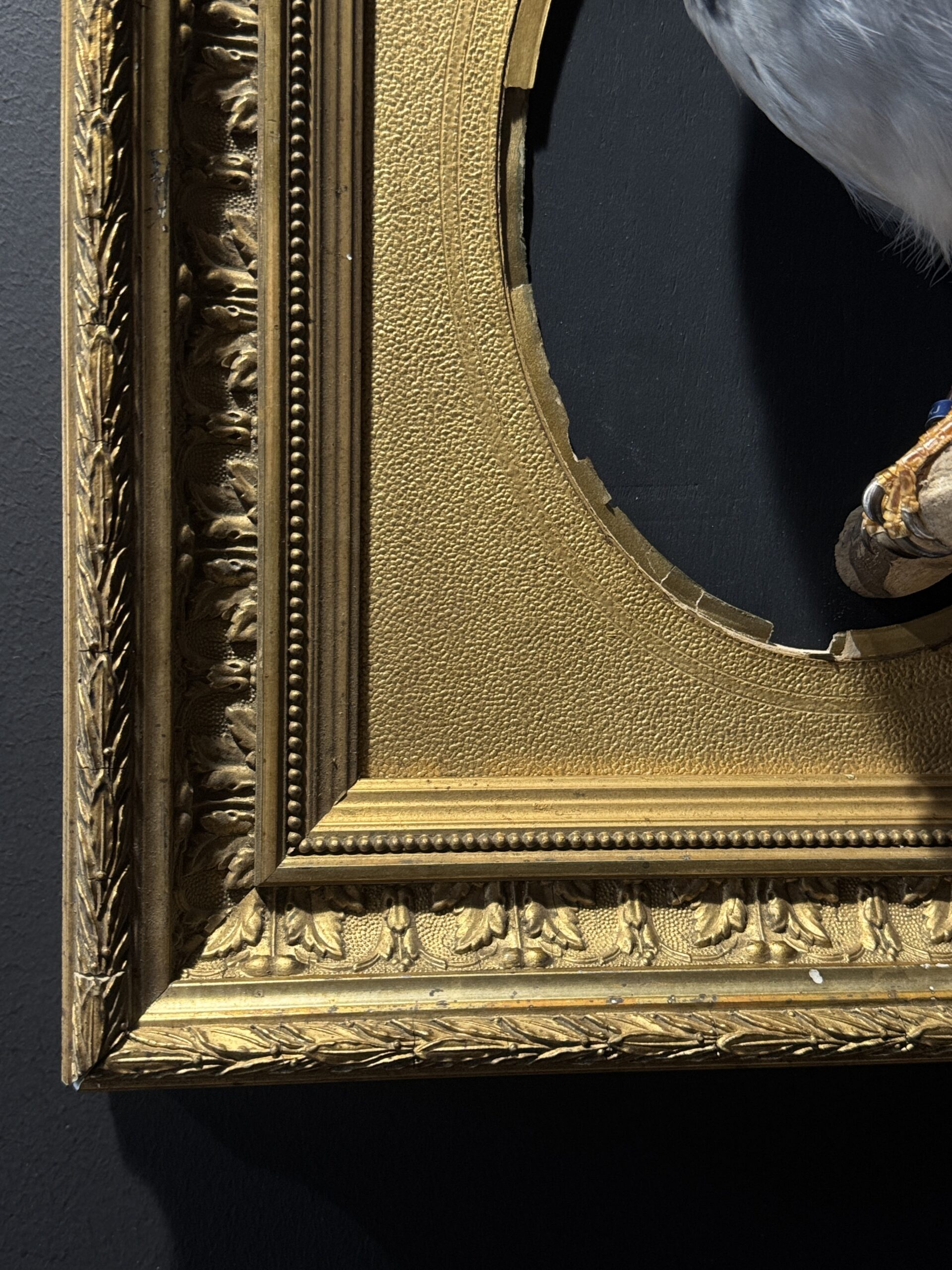 Kunstwerk "Roodsnavel Kitta". Kunstwerk "Roodsnavel Kitta".