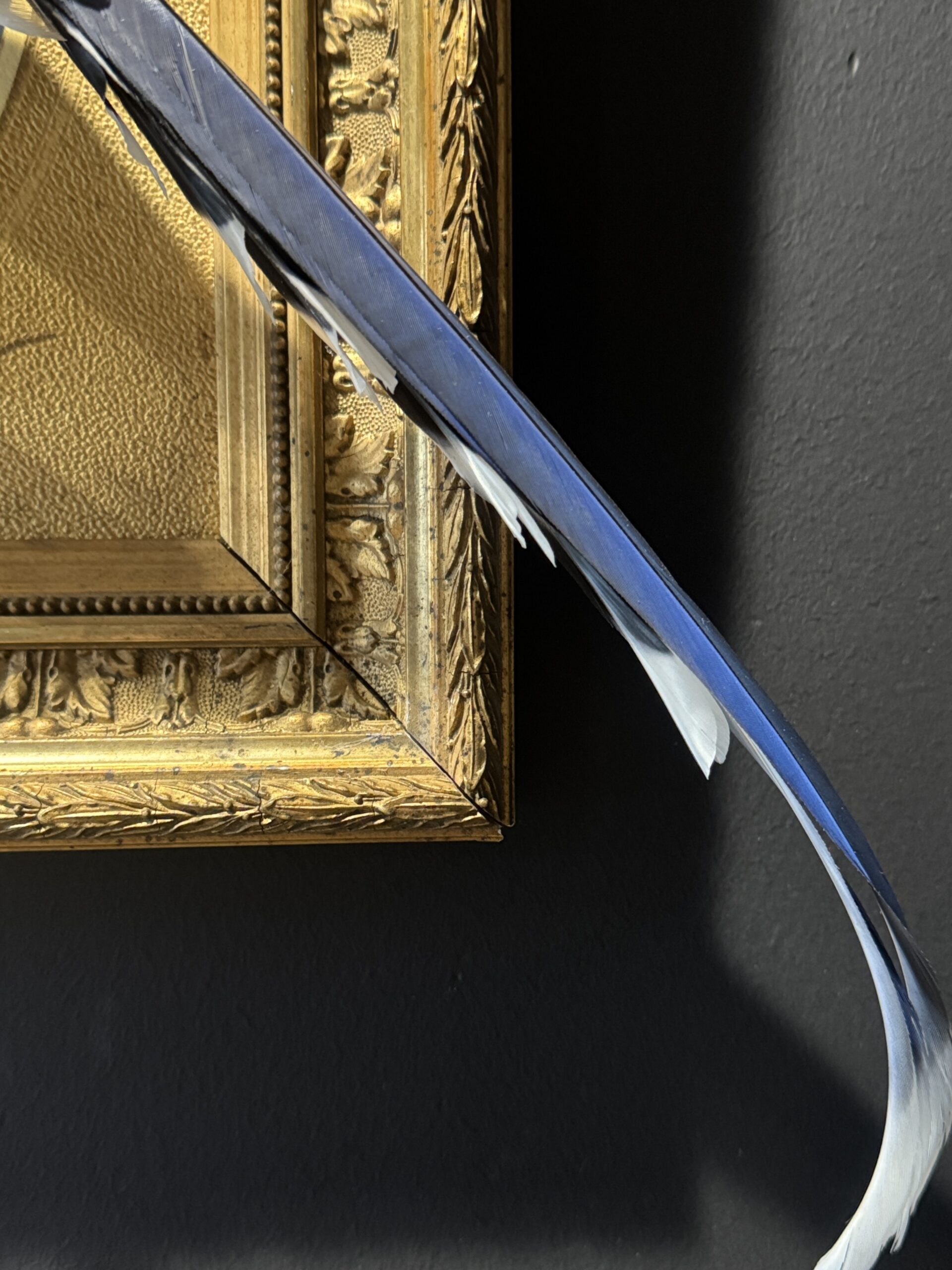 Kunstwerk "Roodsnavel Kitta". Kunstwerk "Roodsnavel Kitta".