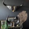 Buffel schedel op sokkel Buffel schedel op sokkel