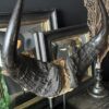 Buffel schedel op sokkel Buffel schedel op sokkel
