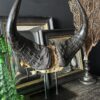 Buffel schedel op sokkel Buffel schedel op sokkel