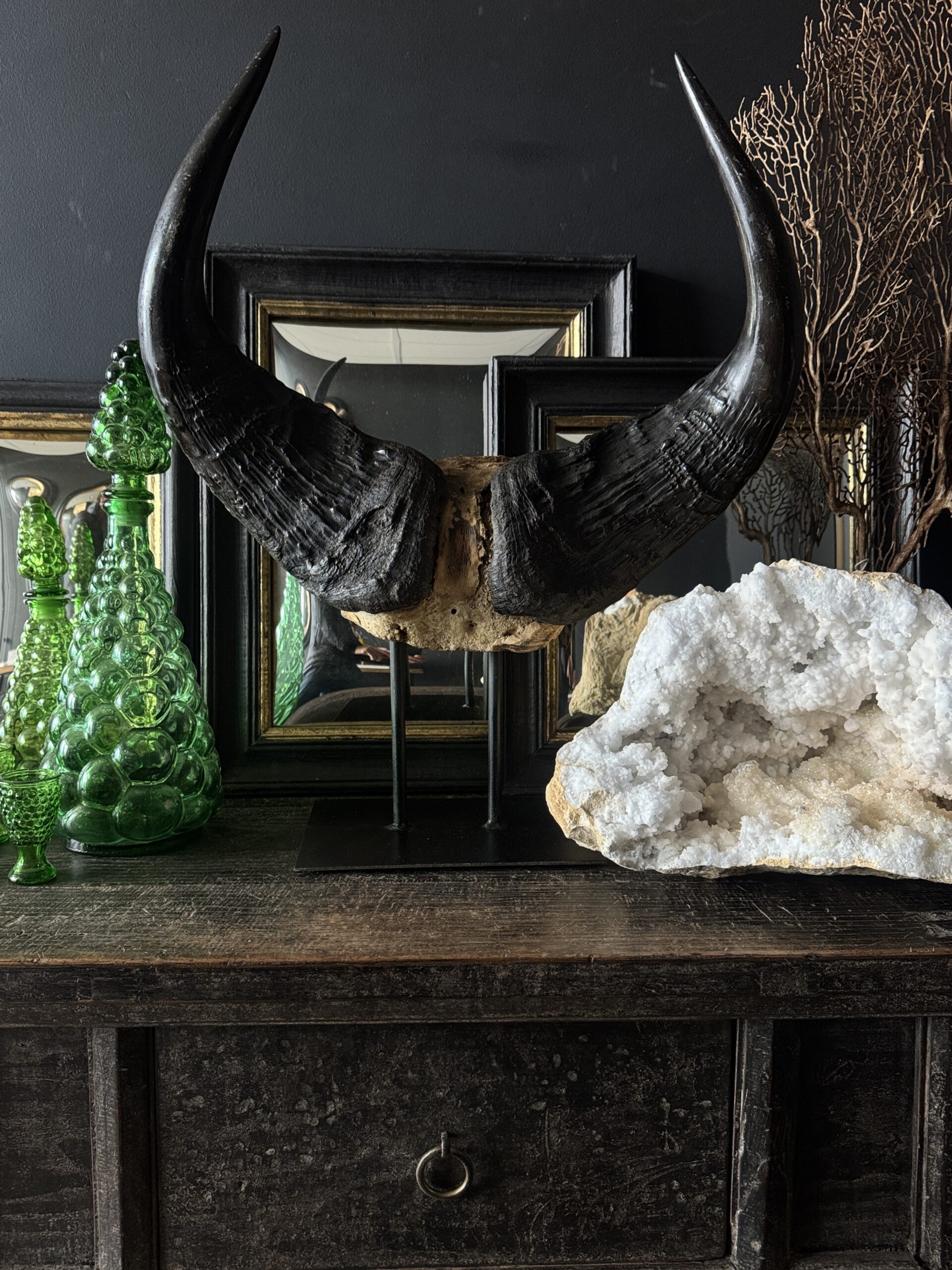 Buffel schedel op sokkel