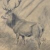 Antieke tekening van een hert