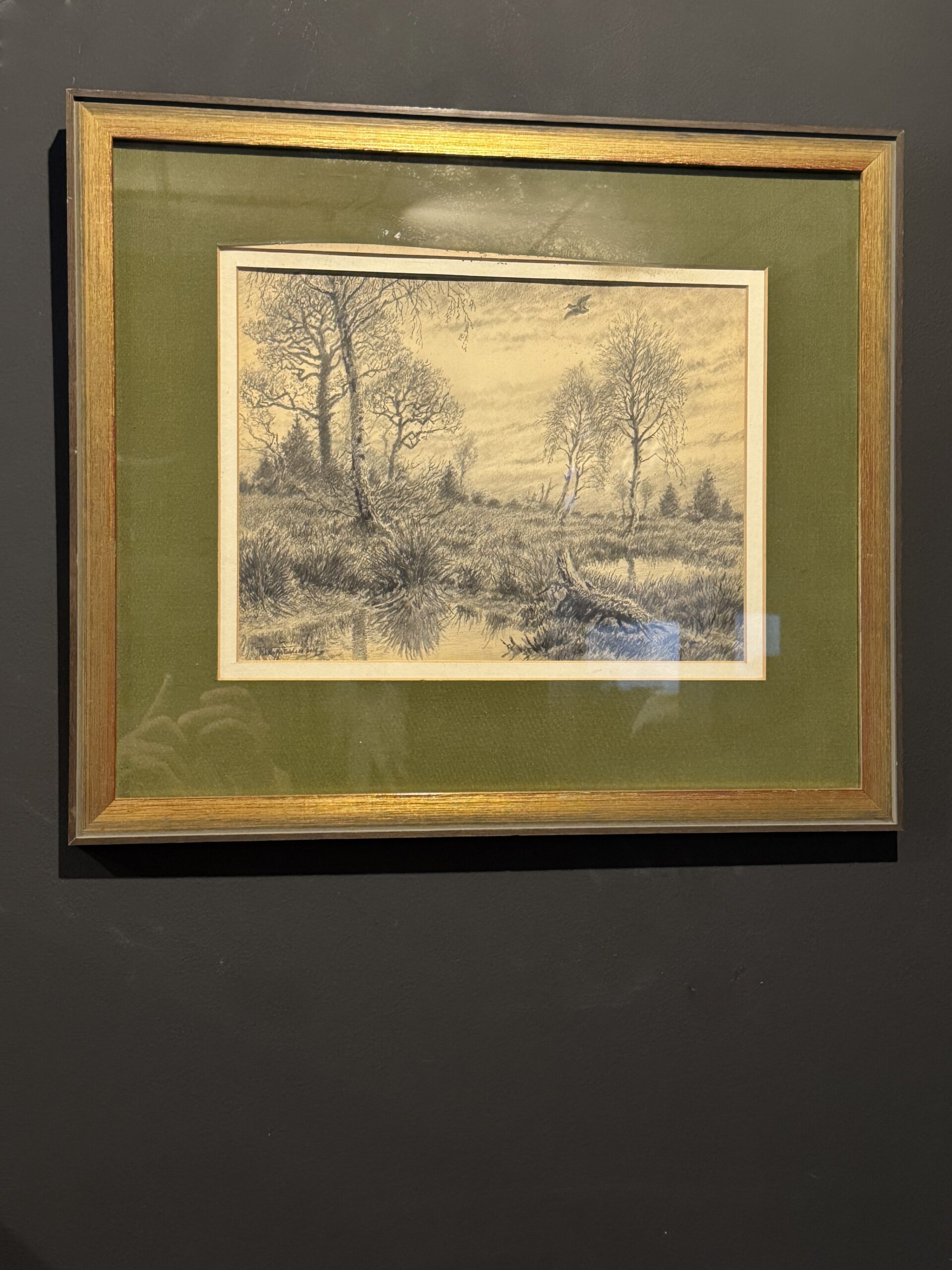 Oude tekening houtsnip