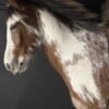 Opgezet paardenhoofd Opgezet paardenhoofd