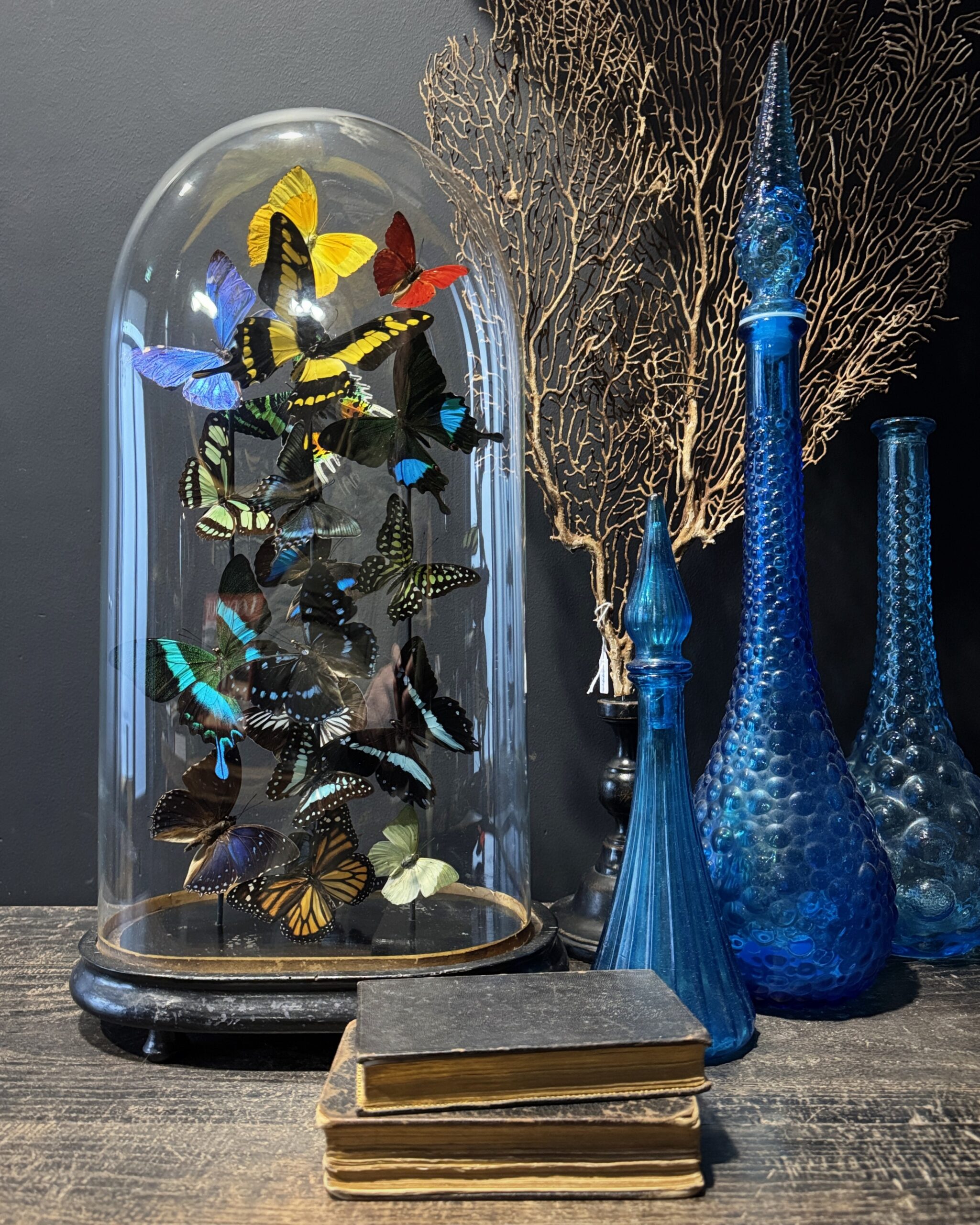 Stolp met vele vlindersoorten