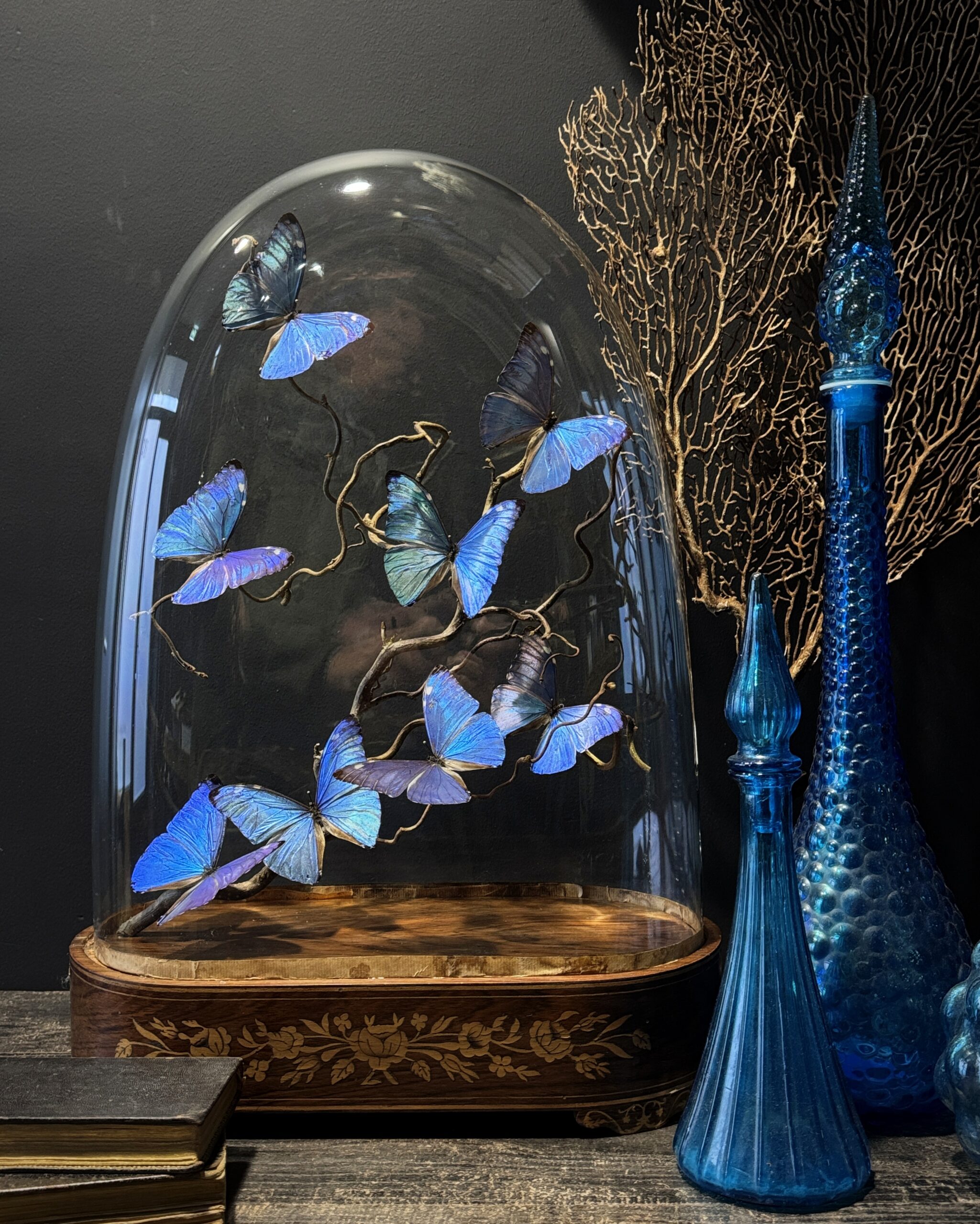 Antieke stolp met vlinders