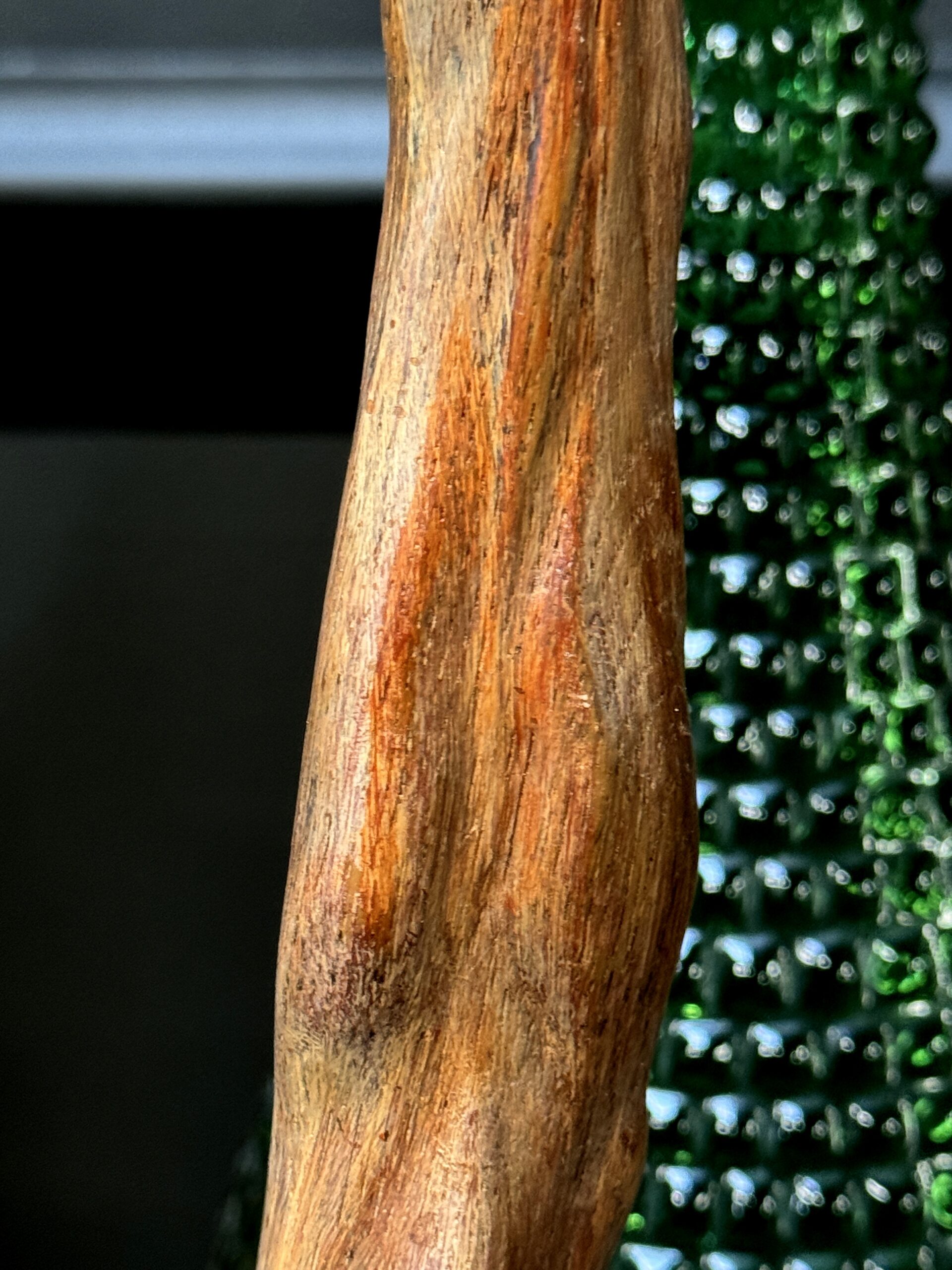 Antieke armen Corpus Christie Antieke armen Corpus Christie