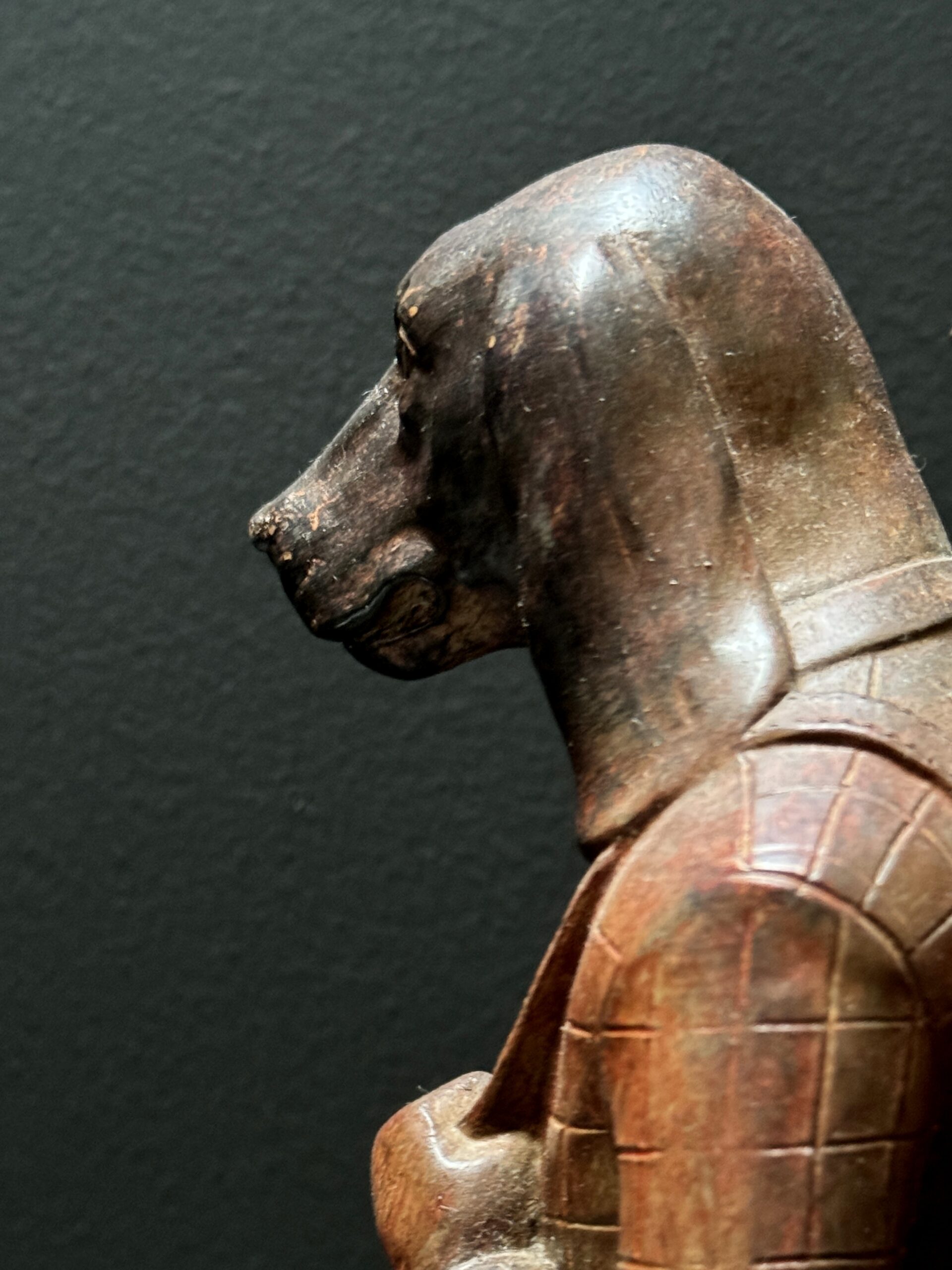 Beeld hond als golfer Beeld hond als golfer