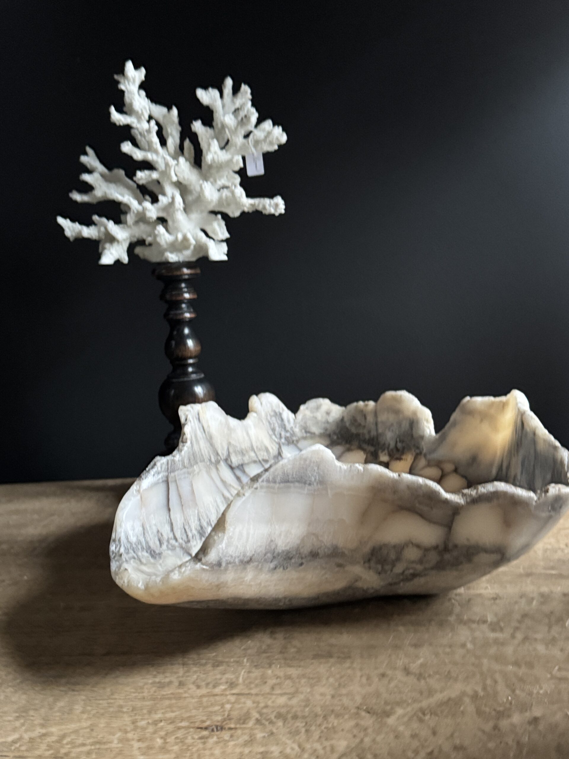 Onyx schaal Onyx schaal