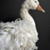 Opgezette gans Opgezette gans
