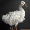 Opgezette gans