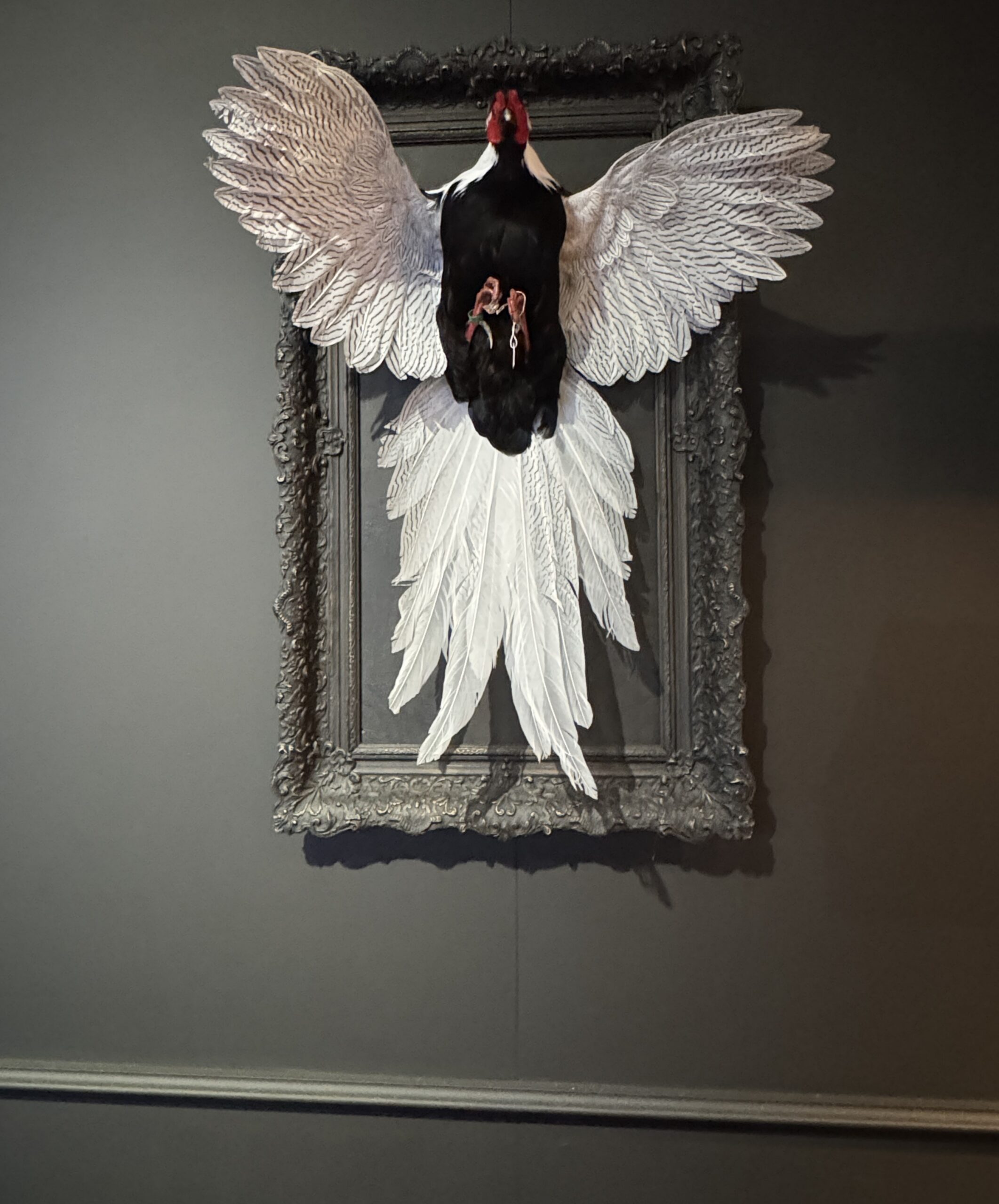 Kunstwerk Zilverfazant