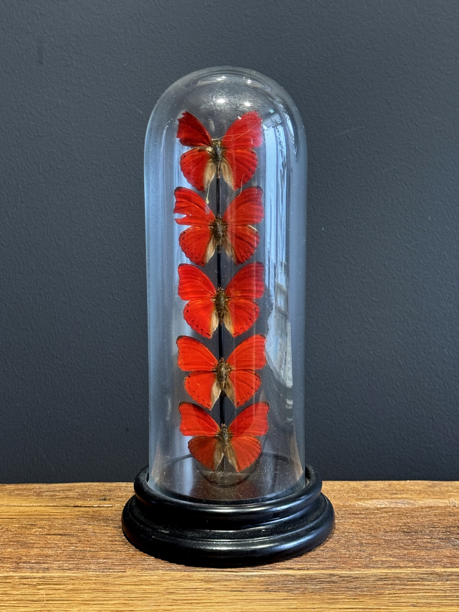 Kleine stolp met rode vlinders