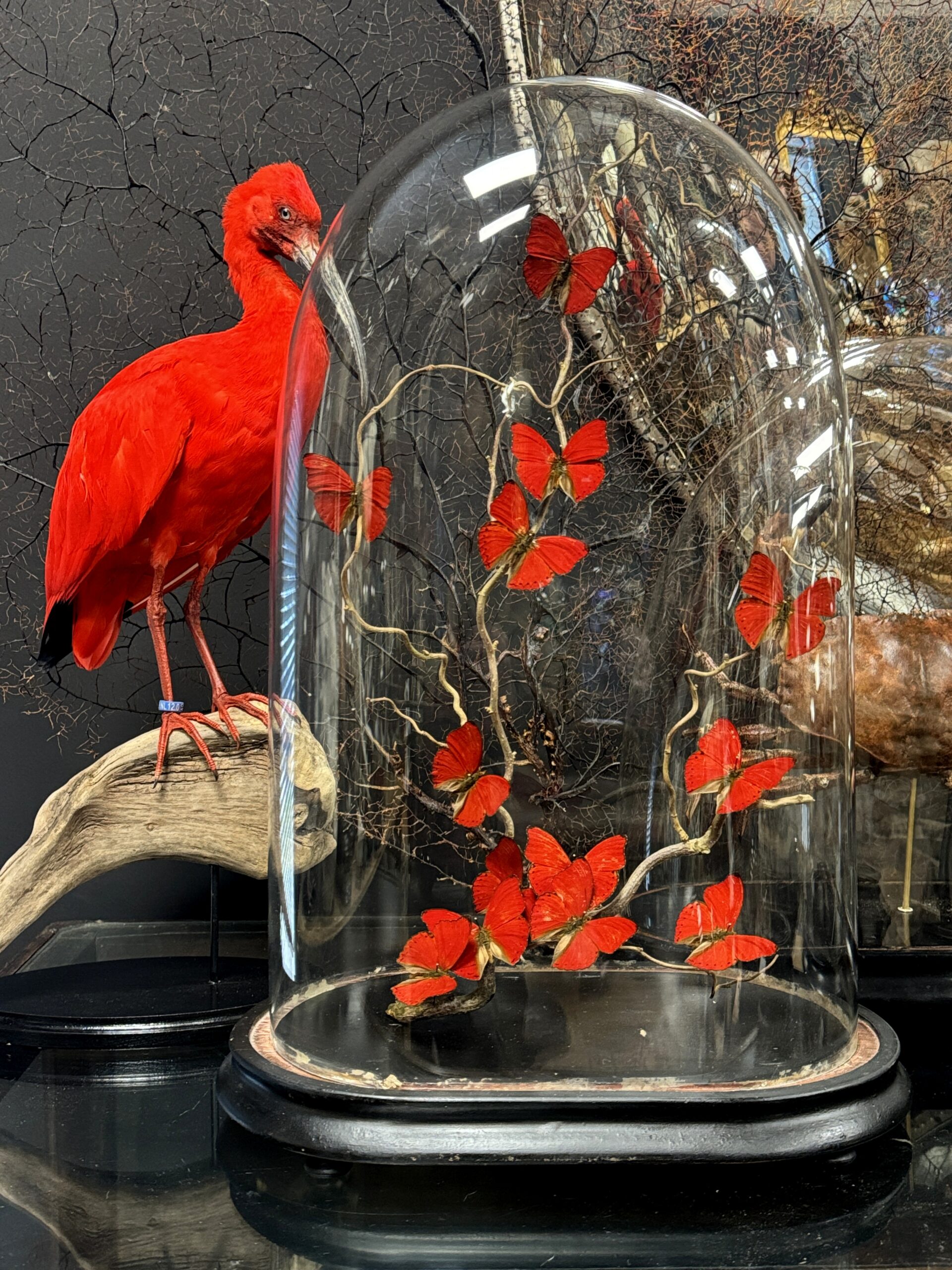 Stolp met rode vlinders