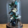 Antieke stolp met wit/ turqoise vlinder mix Antieke stolp met wit/ turqoise vlinder mix