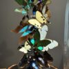 Antieke stolp met wit/ turqoise vlinder mix Antieke stolp met wit/ turqoise vlinder mix