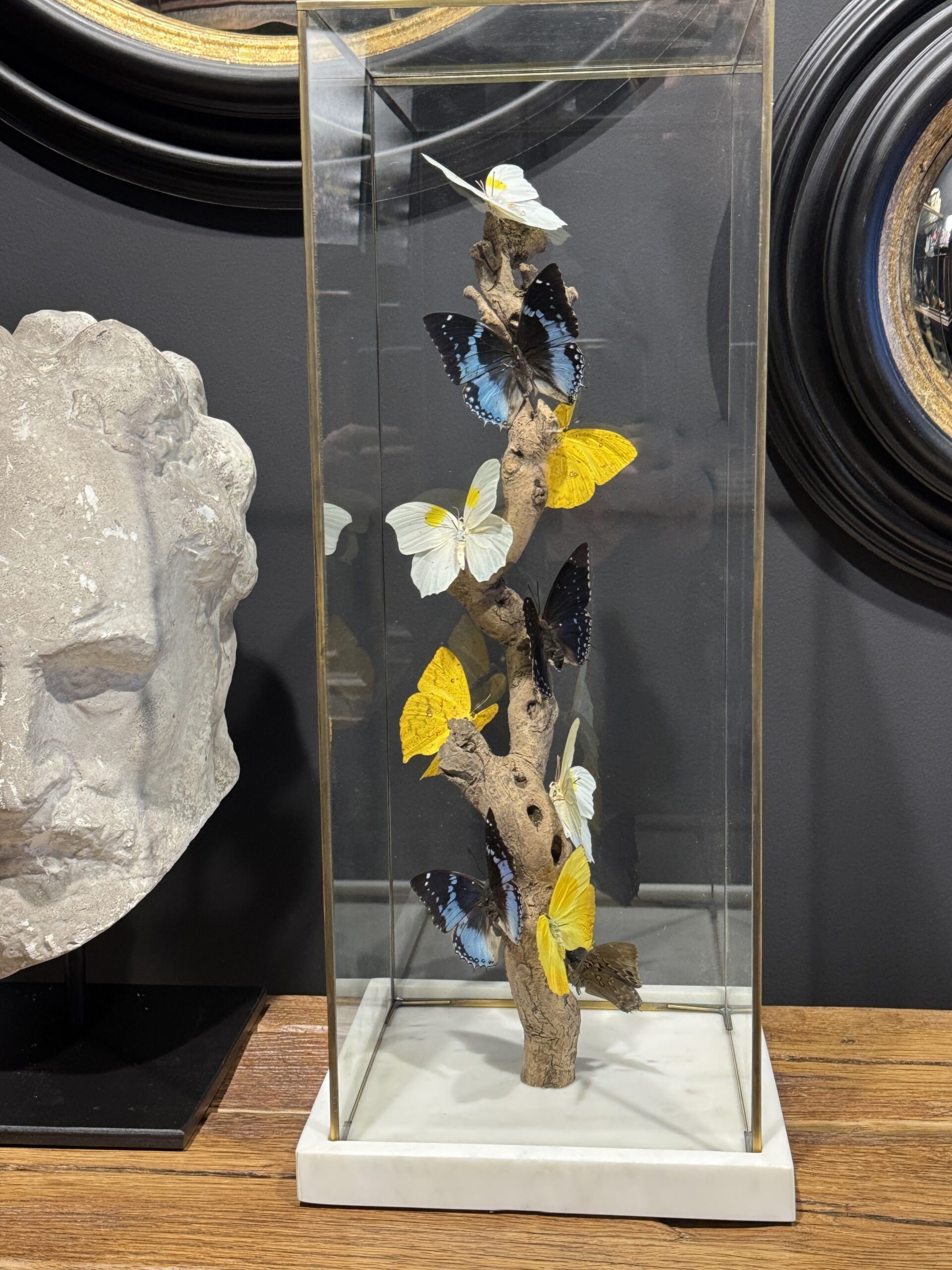 Moderne vlinderstolp Moderne vlinderstolp